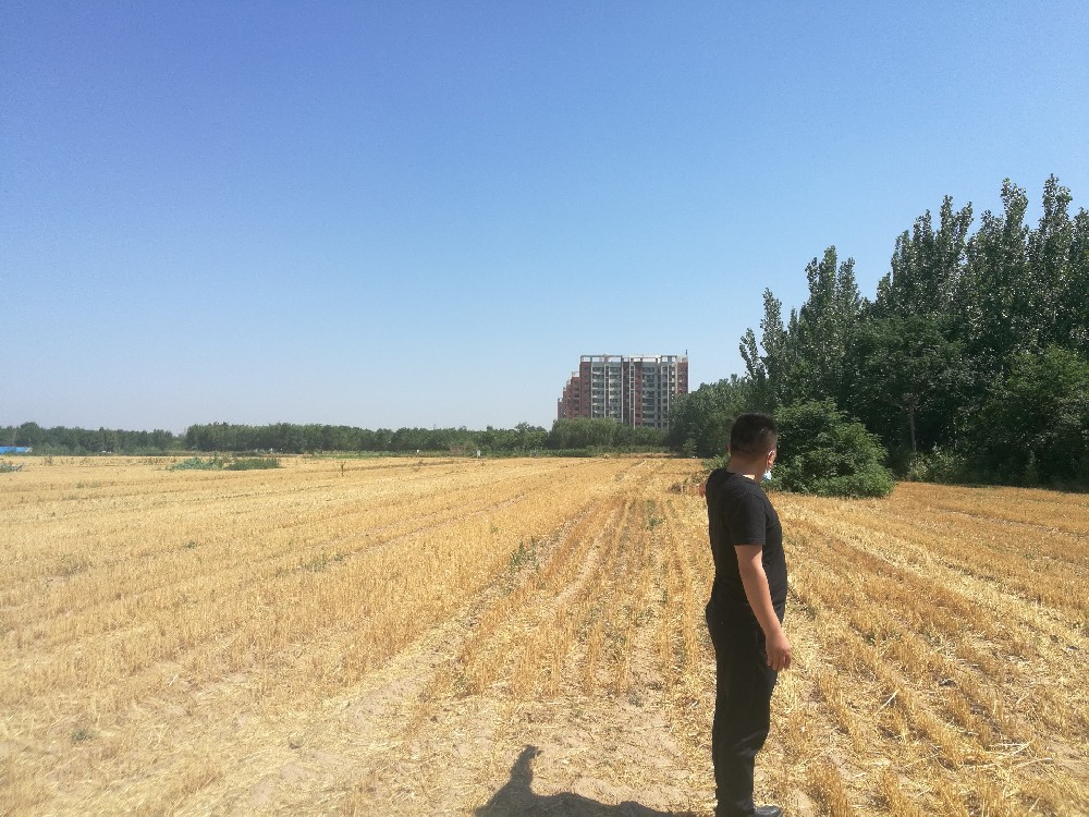 聊城陽(yáng)谷縣自然資源和規(guī)劃局某批次地塊征收項(xiàng)目社會(huì)穩(wěn)定風(fēng)險(xiǎn)評(píng)估順利完結(jié)