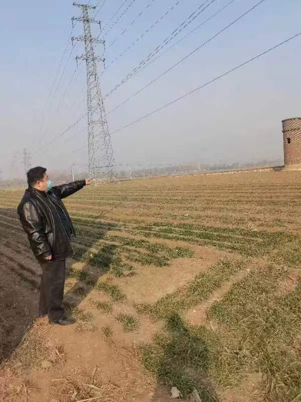 寧陽縣征地項目穩(wěn)評正在進行中...