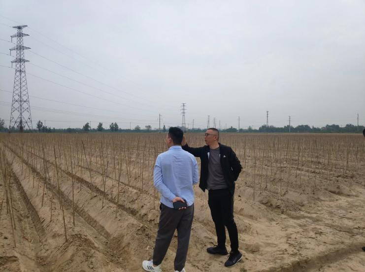 菏澤鄆城線路遷改工程穩(wěn)評已順利完結！