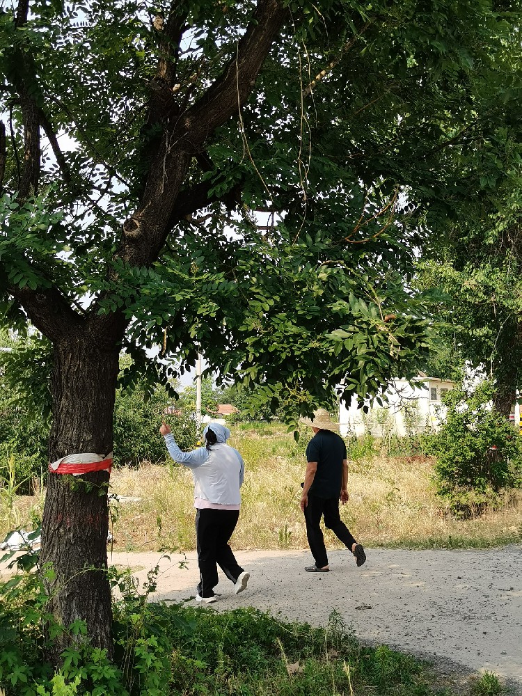 棗莊市市中區(qū)西王莊村項目正在進行現(xiàn)場調研