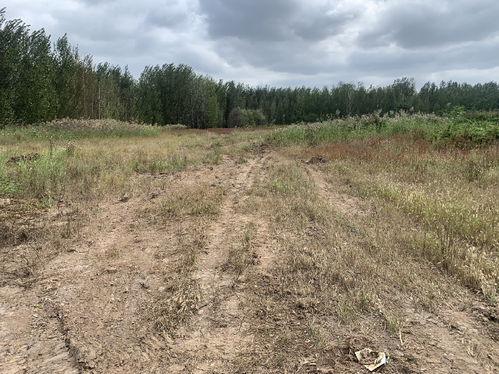 電動汽車配件研發(fā)與制造項目土地征收已順利完結！