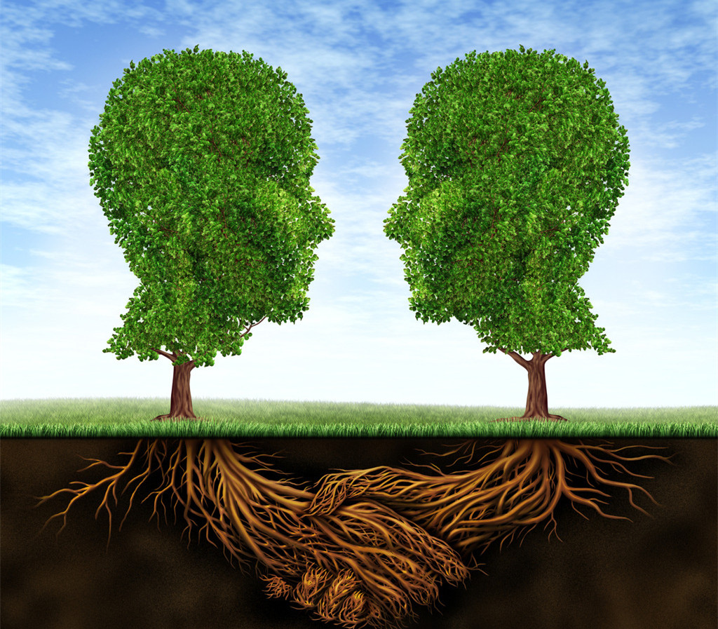 山東志遠(yuǎn)開展混凝土生產(chǎn)項(xiàng)目社會(huì)穩(wěn)定風(fēng)險(xiǎn)評(píng)估