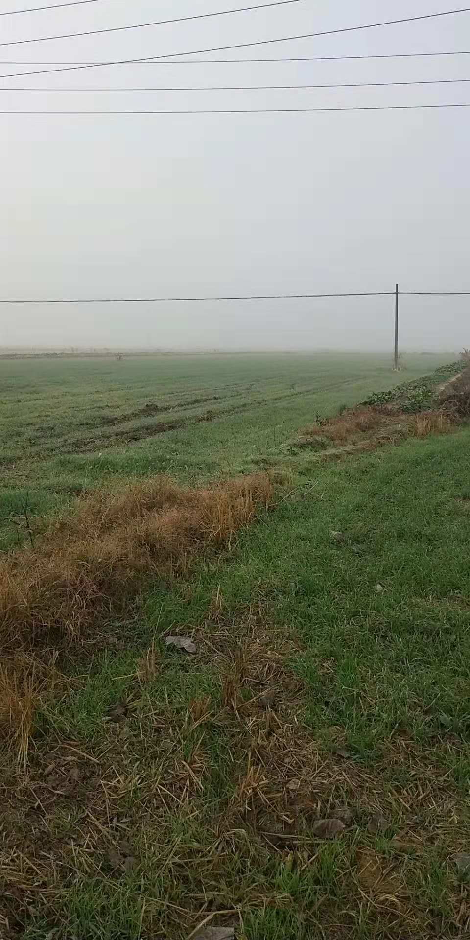 江蘇省宿遷市宿城區(qū)中揚110千伏變電站新建工程社會穩(wěn)定風險評估